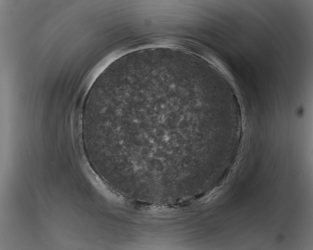 X0000116580907200912101538