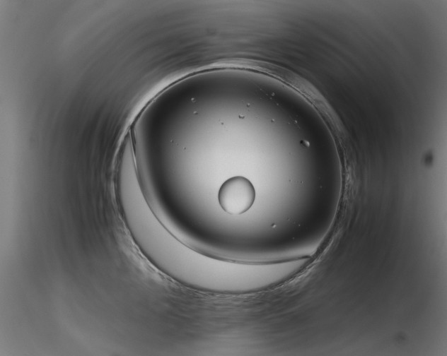 X0000116580908200912101538