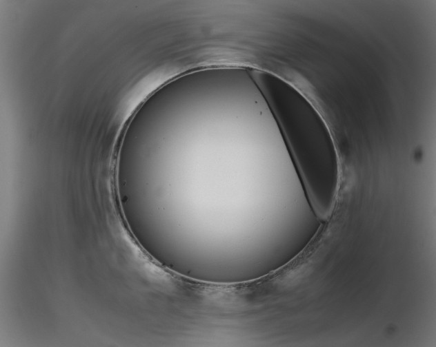 X0000116580909200912101538