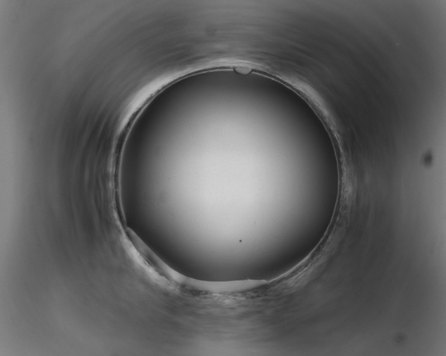 X0000116580910200912101538