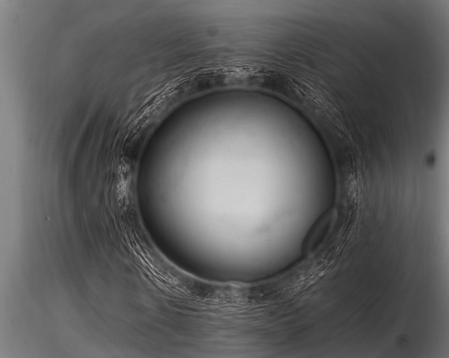 X0000116580914200912101537