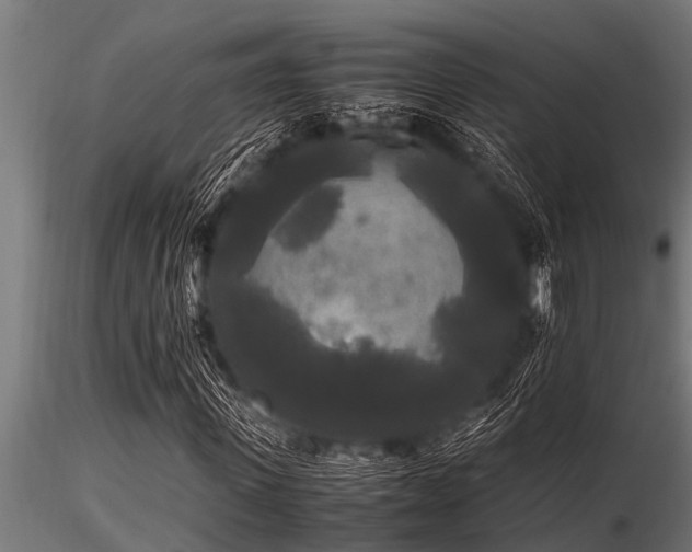 X0000116580915200912101537