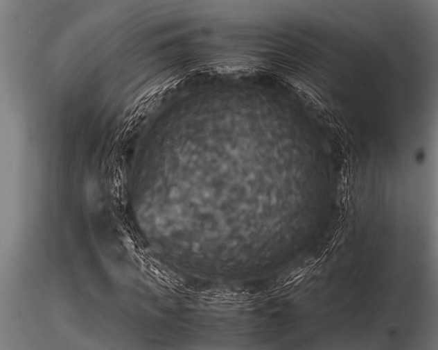 X0000116580917200912101537