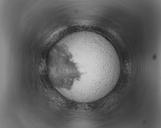 X0000116580918200912101537