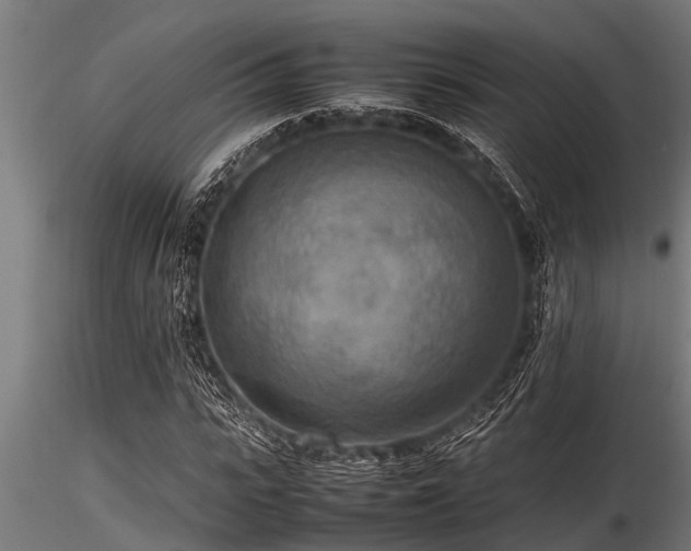 X0000116580919200912101537