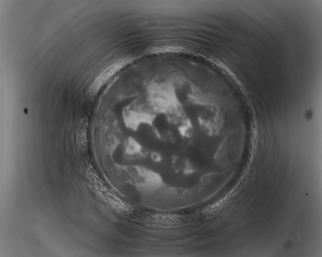 X0000116580921200912101537