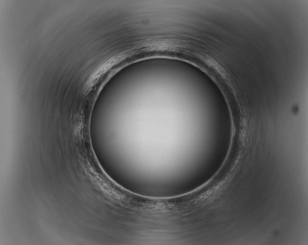 X0000116580922200912101537