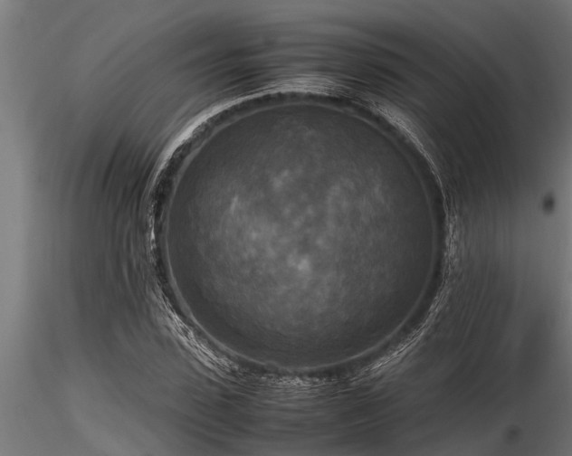 X0000116580923200912101537