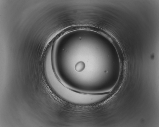 X0000116580925200912101537