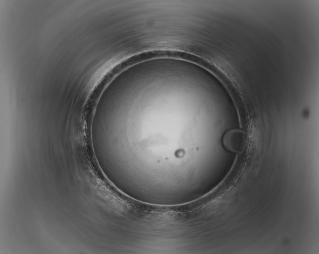 X0000116580926200912101537