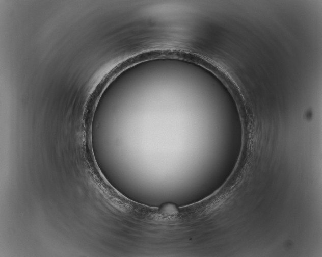 X0000116580927200912101537