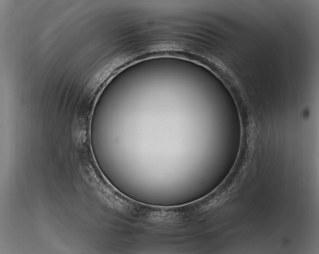 X0000116580929200912101537