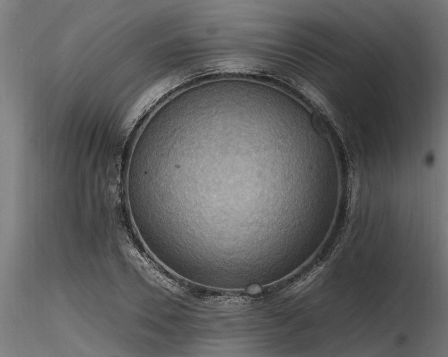 X0000116580930200912101537