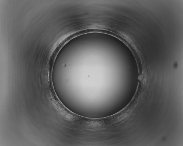 X0000116580931200912101537