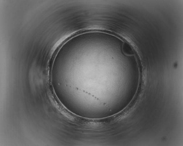 X0000116580933200912101537