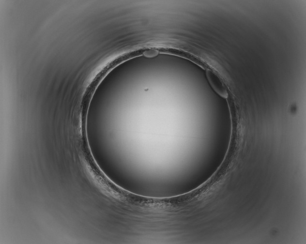 X0000116580934200912101537