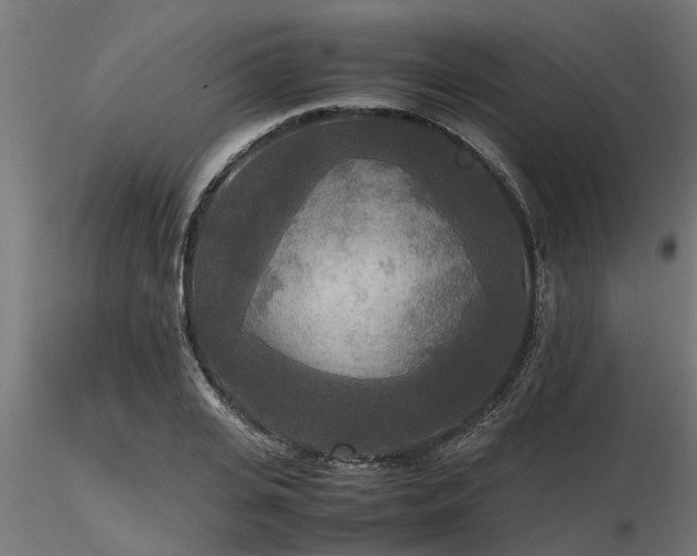 X0000116580935200912101537