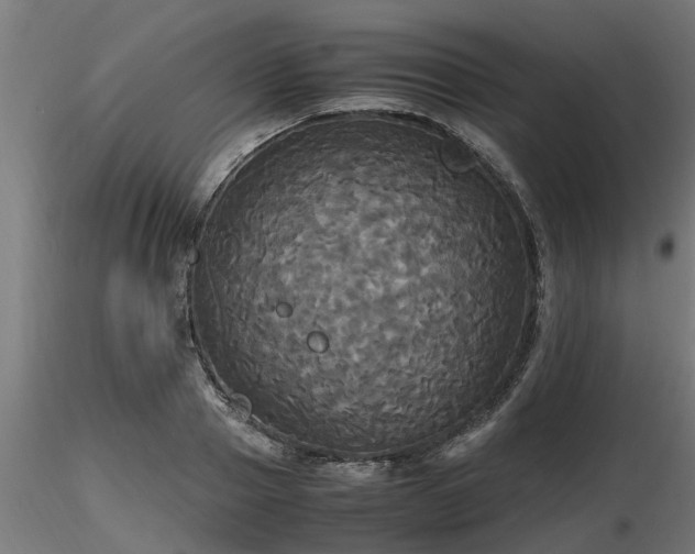 X0000116580937200912101537