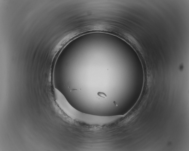 X0000116580938200912101537