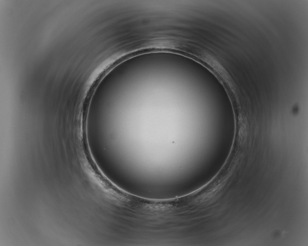 X0000116580939200912101537