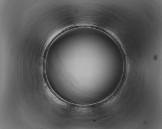 X0000116580941200912101537