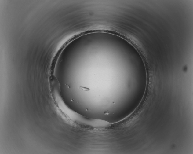 X0000116580942200912101537