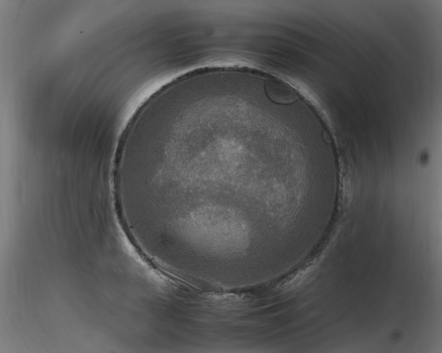 X0000116580943200912101537