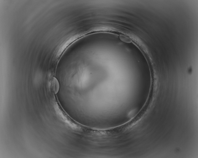 X0000116580945200912101537