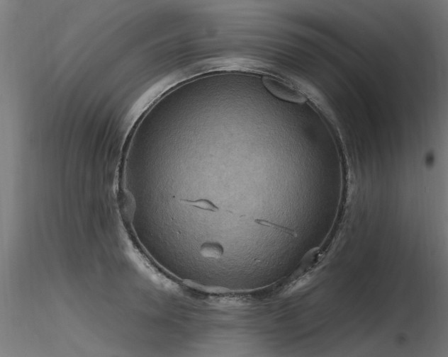 X0000116580946200912101537