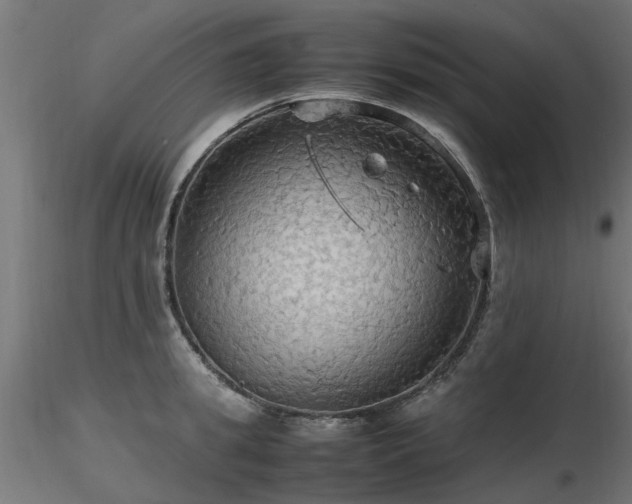 X0000116580949200912101537