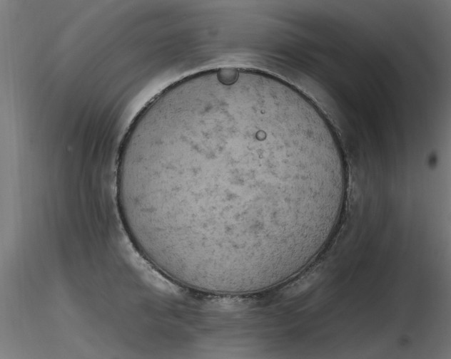 X0000116580950200912101537