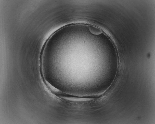 X0000116580951200912101537