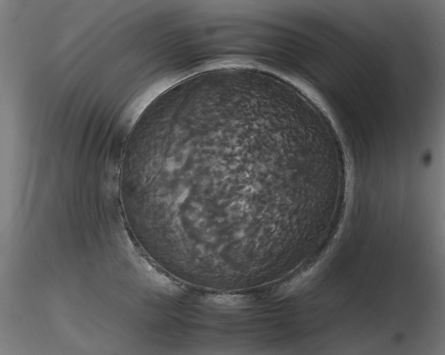 X0000116580953200912101537