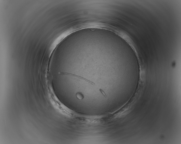 X0000116580954200912101537