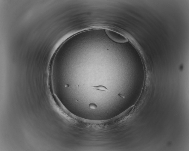 X0000116580955200912101537