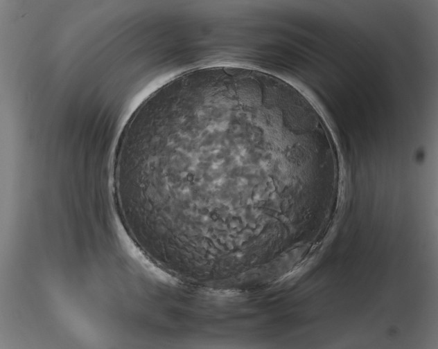 X0000116580957200912101537