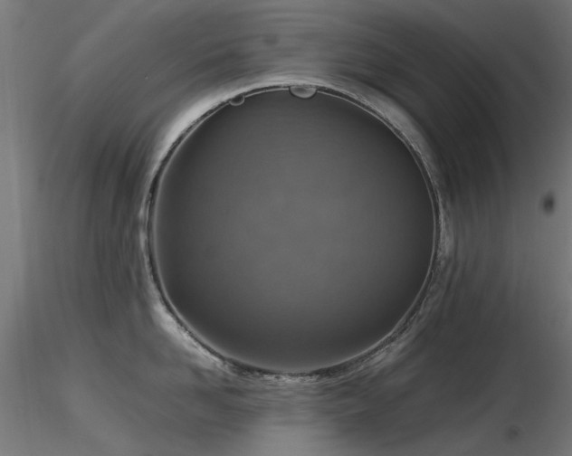 X0000116580958200912101537