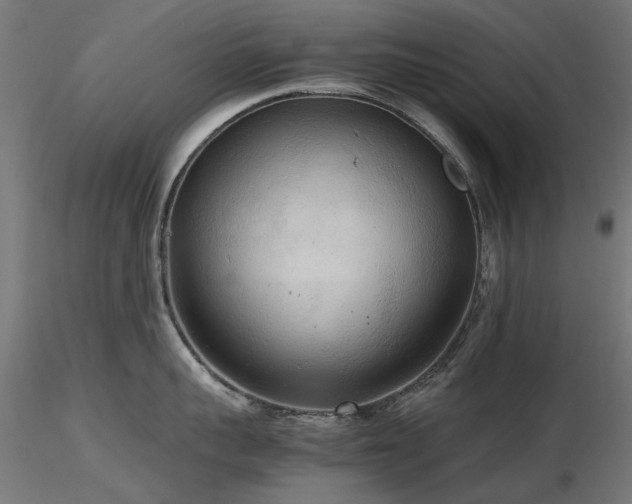 X0000116580959200912101537