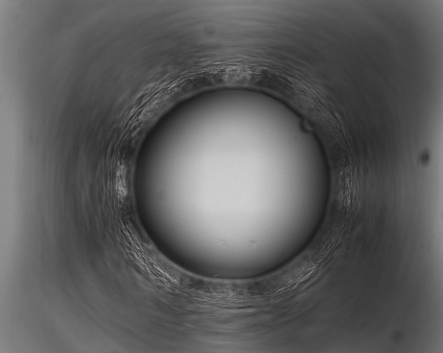 X0000116580962200912101537