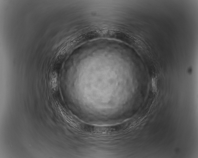 X0000116580963200912101537