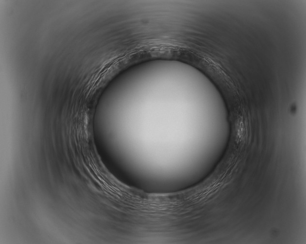 X0000116580964200912101537