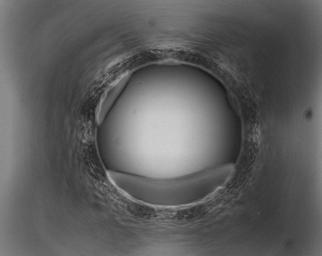 X0000116580965200912101537