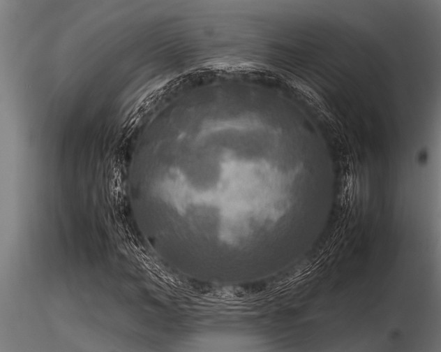 X0000116580966200912101537