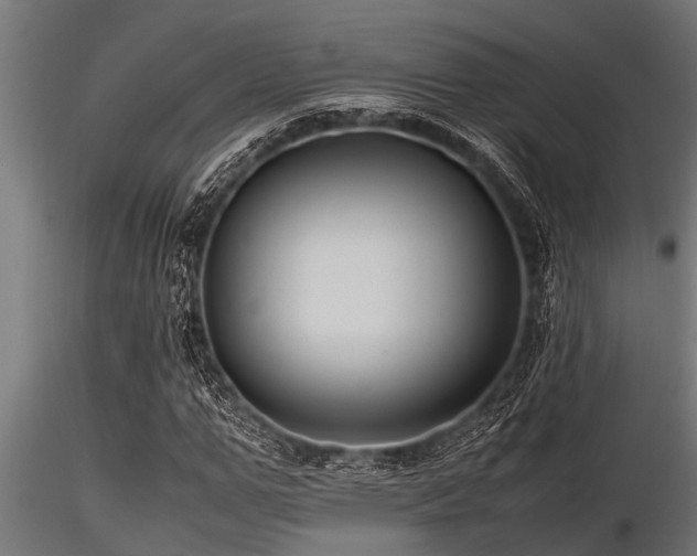 X0000116580967200912101537