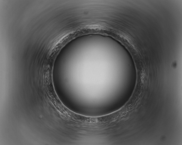 X0000116580968200912101537