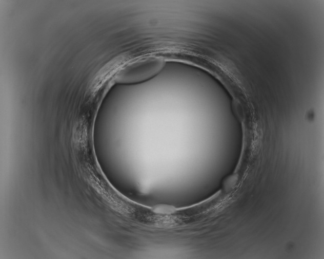 X0000116580969200912101537