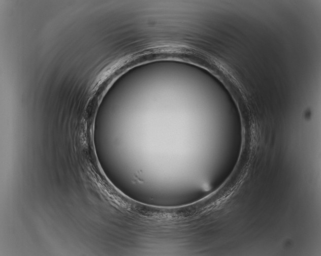 X0000116580970200912101537