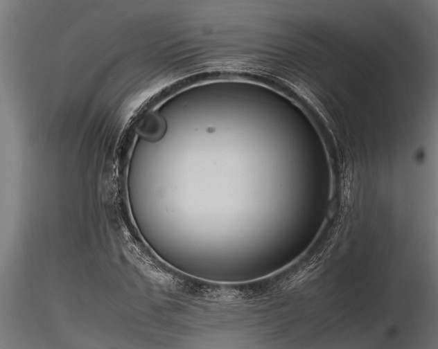 X0000116580971200912101536