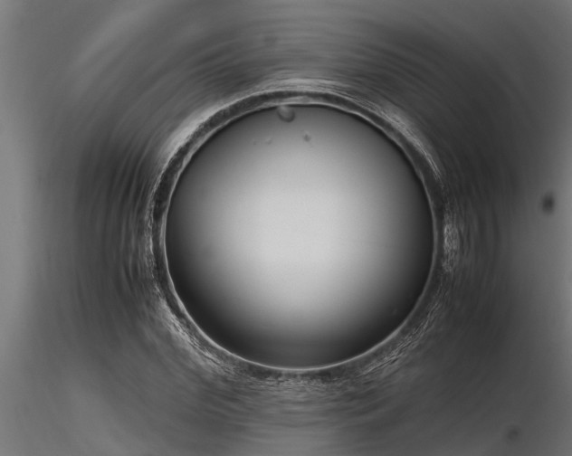 X0000116580972200912101536