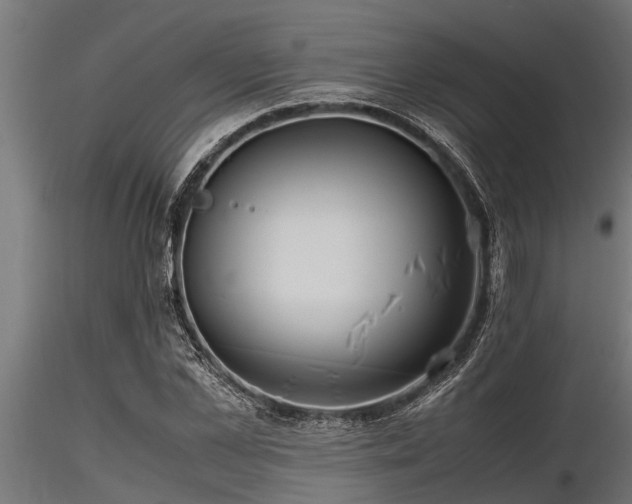 X0000116580973200912101536